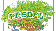 LogoPregelVerde_987b11f2-8953-4318-aa9f-b920910fe45a